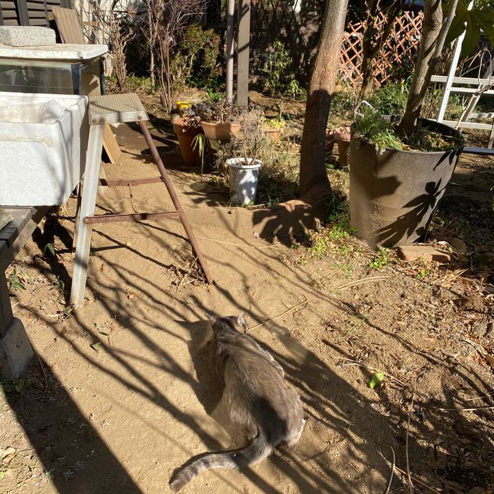 4dc213b8 13a5 4e18 a835 b7c19fdab6a3 1612344066628