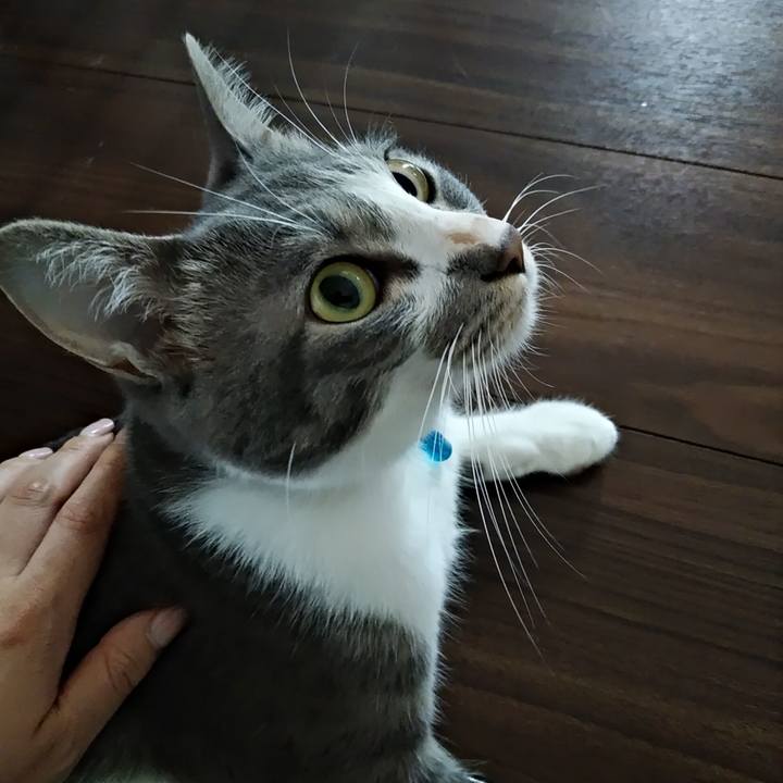 4dc22b08 819f 4284 b46d 7397890dd11f 1595112125191