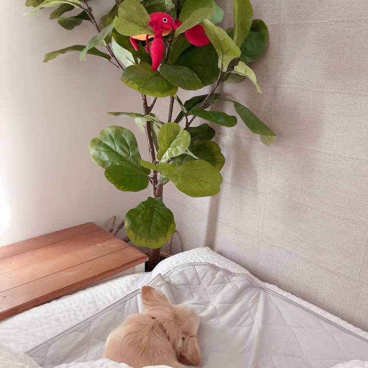 4dc2424e 299f 4aff b702 2d96cd641115 1716524435327