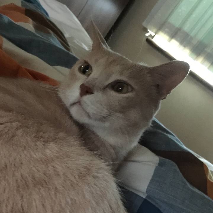 4dc26966 ed25 47a0 af07 407a702f9f9d 1571726219252