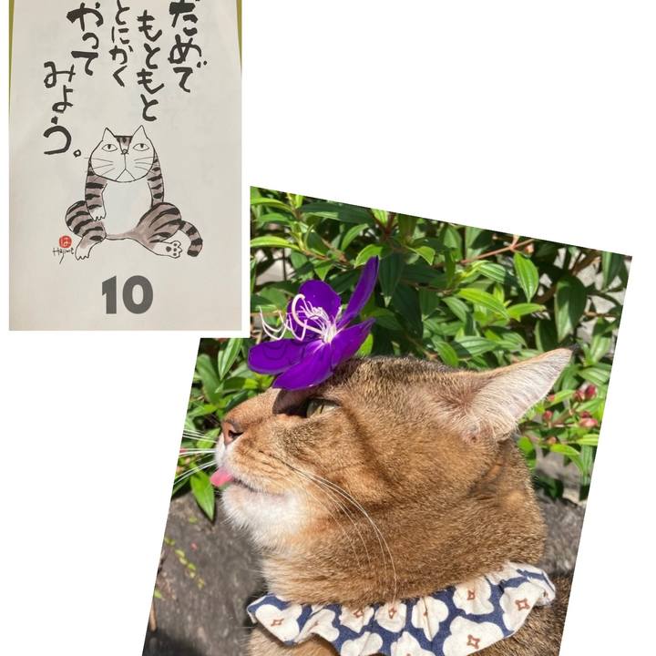 4dc2853a b0bb 4b99 80d7 6fecd99ee359 1765319370668