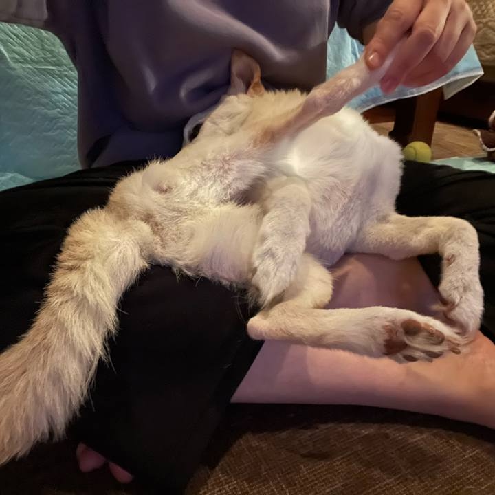 4dc2c681 42ca 4d8b b8ee 29aaf414cd5a 1668803847085