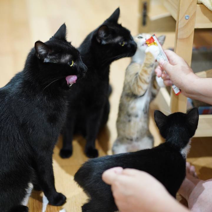 4dc3052c f3ad 4843 9196 08fd8011aad5 1568897140262