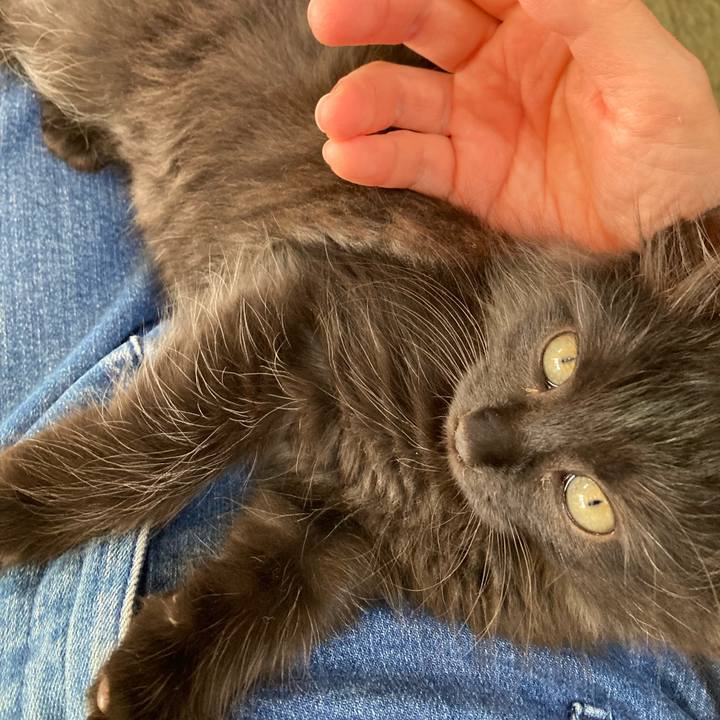 4dc35563 3c62 411c 905d b1b43400948a 1699496901738