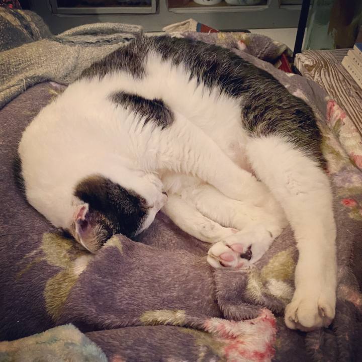 4dc3d802 3c43 4bac ab40 d8b073084233 1582902135628