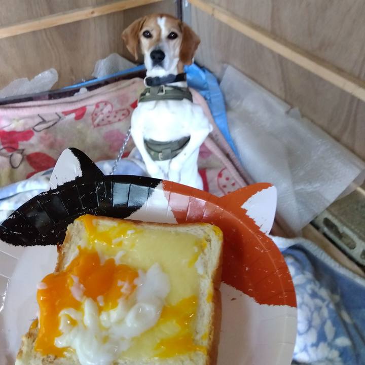 4dc3e0ba 43e7 4859 92f8 0bca8e1bc94a 1682659004217