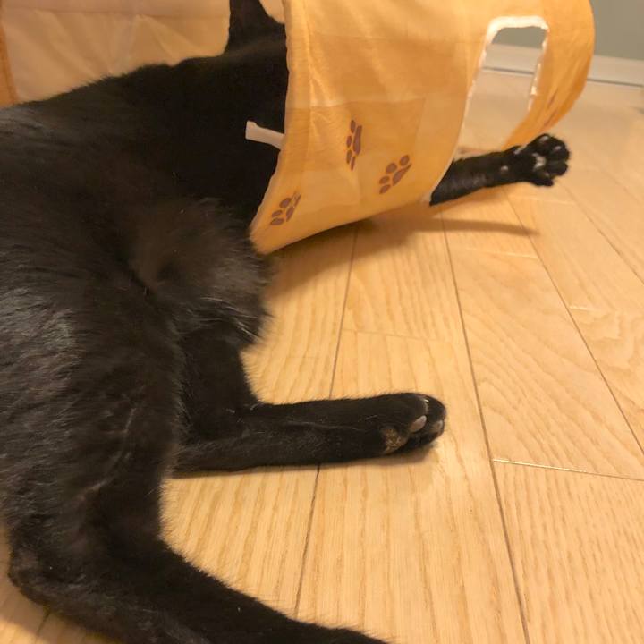 4dc40c27 d4a5 4027 8ed6 5edf6225d5d7 1576076312457