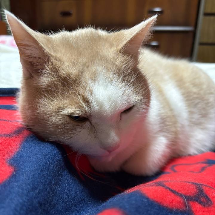 4dc40c7d a01d 433d aab0 da9f8c2850c1 1769090239211