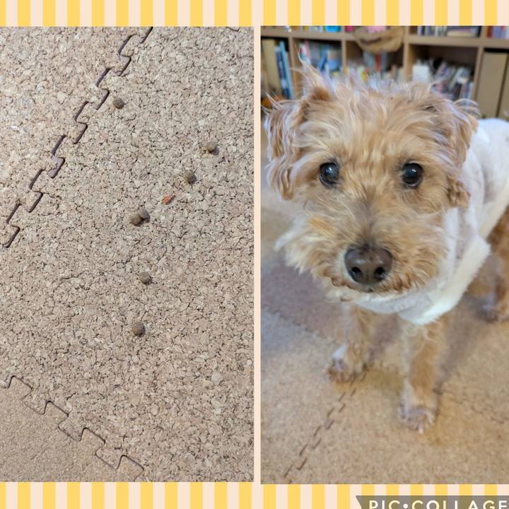 4dc42d82 aed4 4f3a 9681 d6f5c54673d3 1773350318836