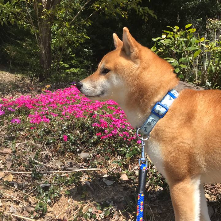 4dc42e34 981a 4062 ad6e a196c043269c 1586233325001