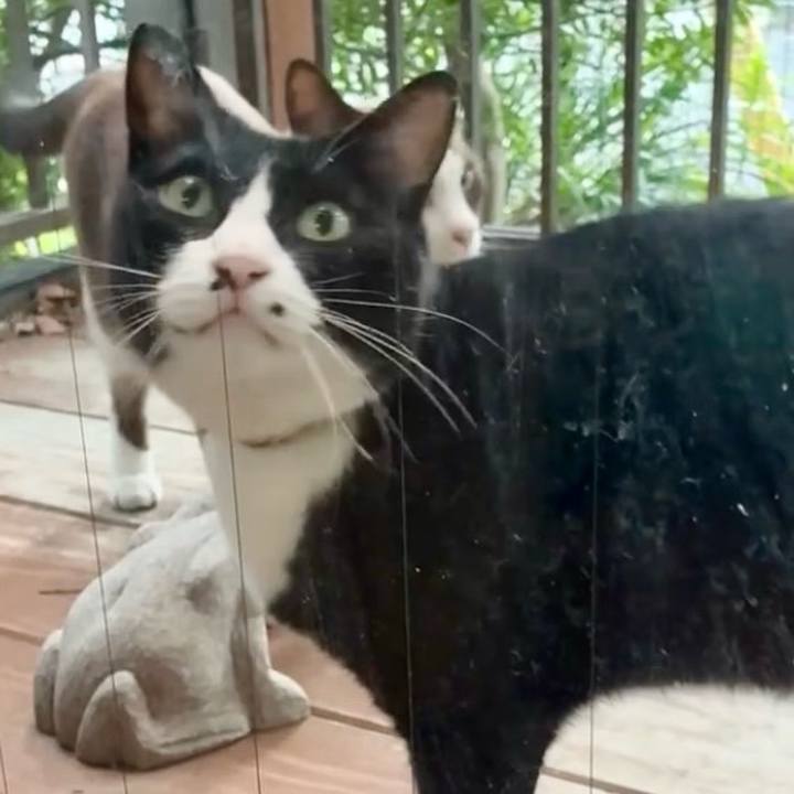 4dc43d23 c5cd 4948 8798 0ea1e6e87f65 1758537684705