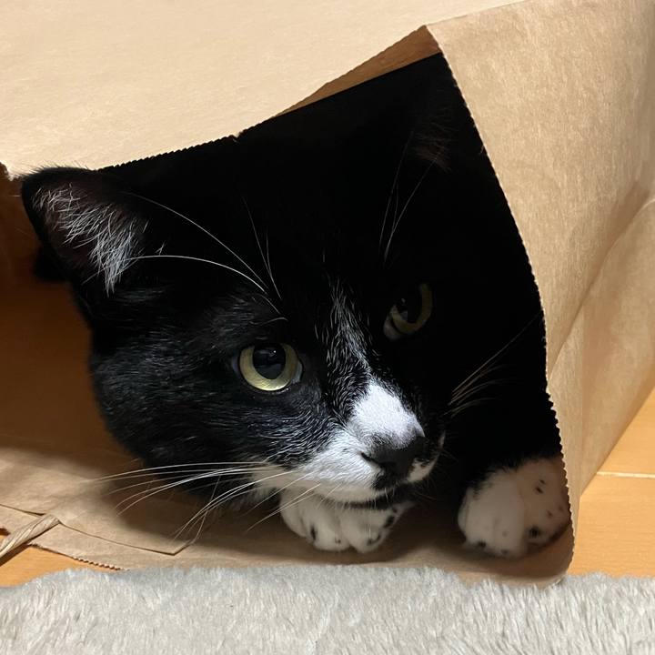 4dc45dcd d8bf 43d1 a3ef 30cf592a9854 1715657701668