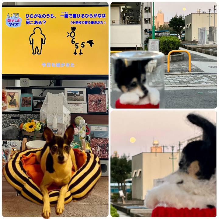 4dc4806b 43d0 4881 afb7 b3d560edf777 1667945490911