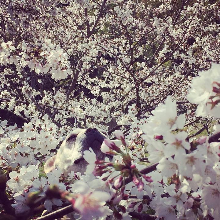 4dc48d2a eb1d 4760 a3a5 52520a59a670 1522317850732