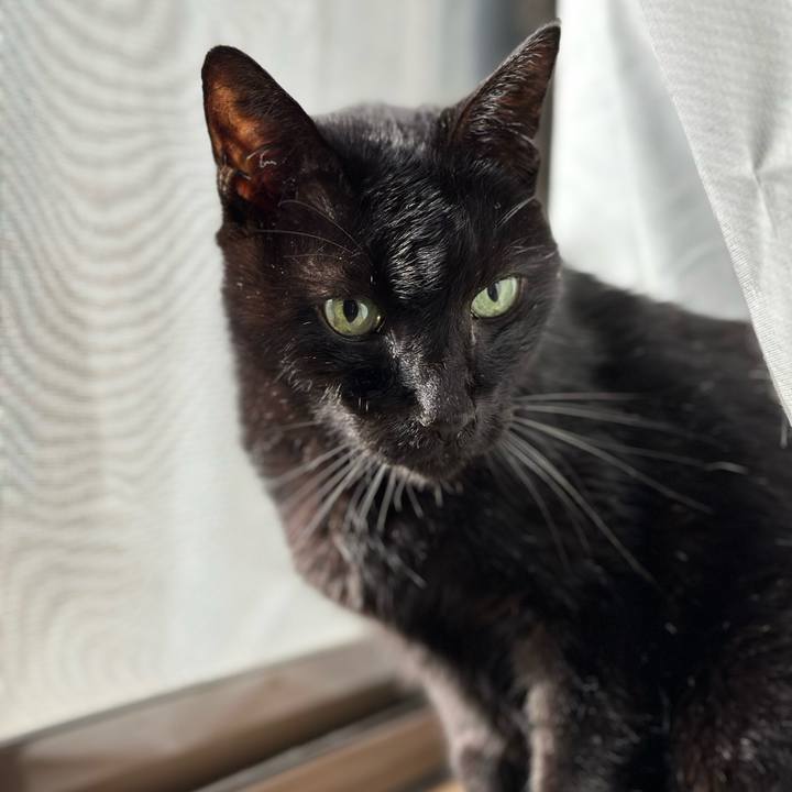 4dc4aa81 7bbc 4b18 b2c4 e3b09be84960 1702863299339