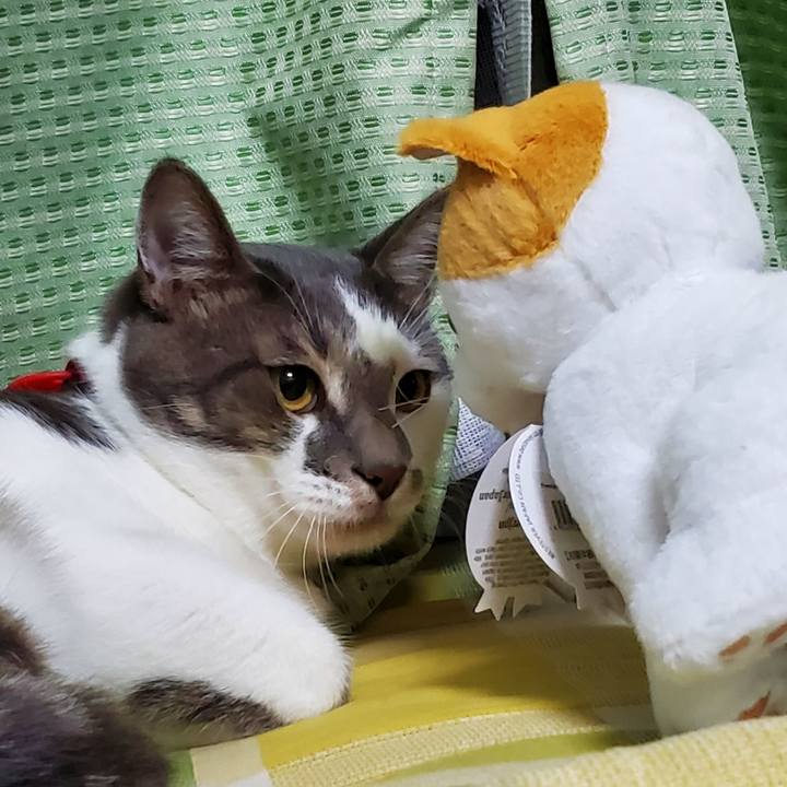 4dc51d86 2a70 470d a637 ea2fa3ecc2d1 1696128447264