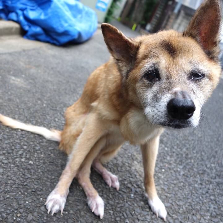 4dc55e6d 7a65 4689 8217 723c3a64b15a 1567549487026