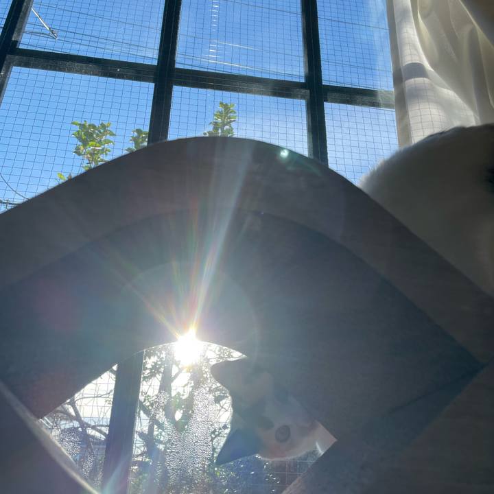 4dc58d16 1b21 43d1 9af9 ed29a5b36bcf 1669937480367