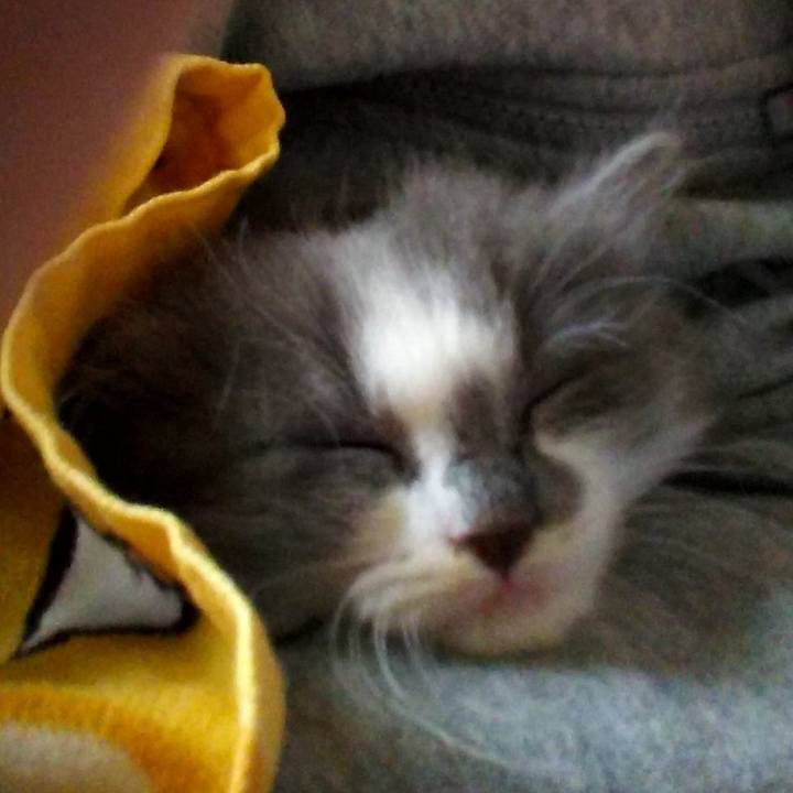 4dc590c4 d3e4 4aba 8b23 26b2a50e266c 1582454650178