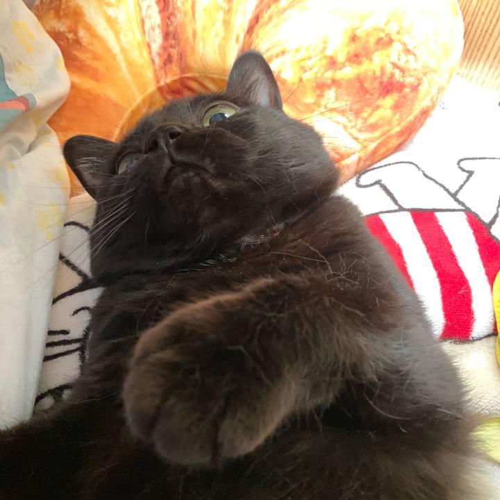 4dc595ea f458 4da1 ba80 95f7918d5c2d 1561422101362