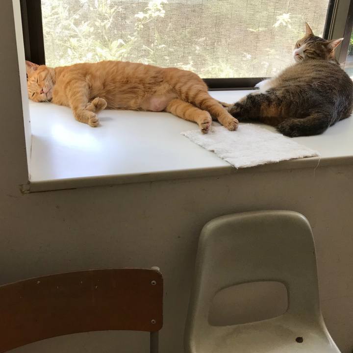 4dc5a63c 56eb 4737 8ff6 0423d5404bec 1532144600145