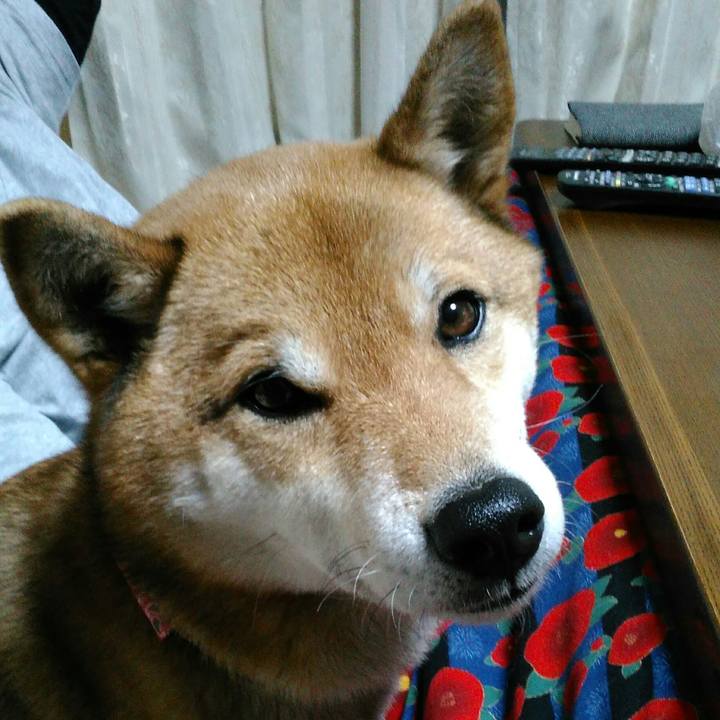 4dc5ed46 915e 44ee 9756 e6aa98f0c605 1519470839766