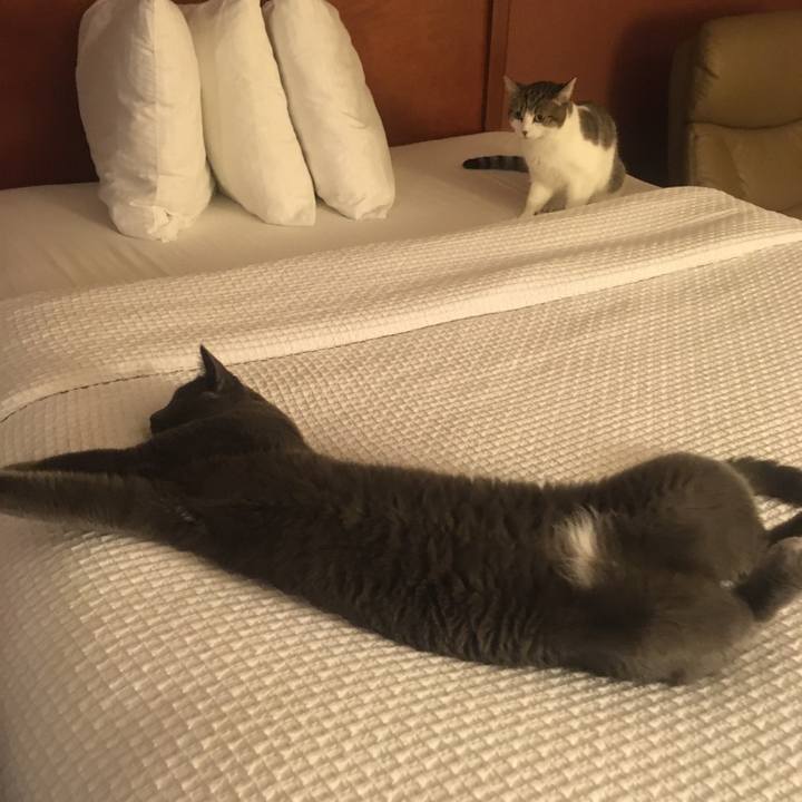 4dc5fbc3 2861 45c2 afe4 1fda8a49ed19 1633830152263