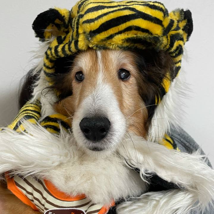 4dc60987 7184 4952 8ed6 3fe02b216ecf 1637308744863