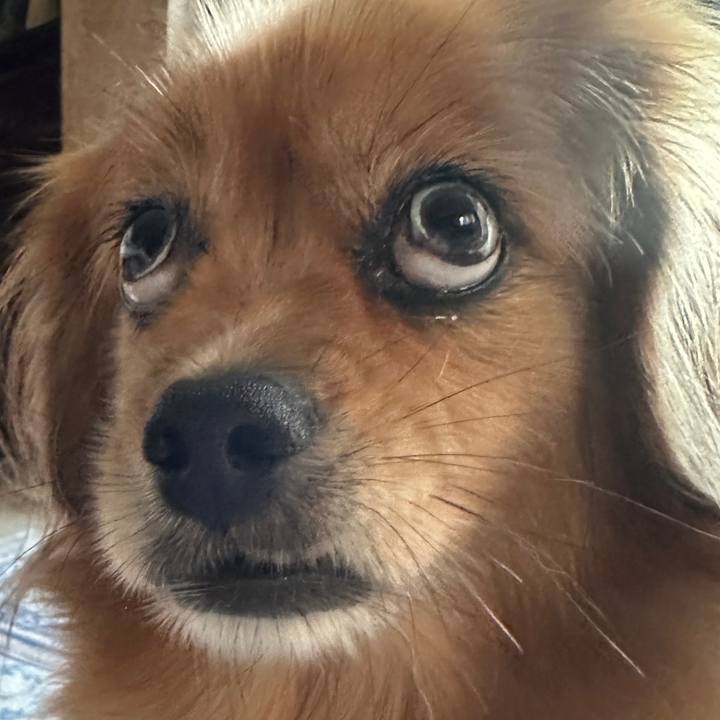 4dc61e86 3450 46b6 863e 7065287d4ef5 1693170169391