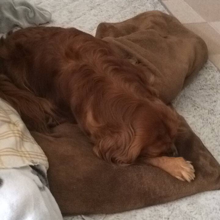 4dc637c3 7fd1 48a4 a711 2f01f0211e5a 1616387217582