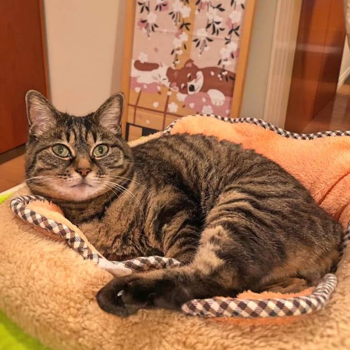 4dc6405e b6c2 4d4b 9827 4a9c25d3224a 1775650856618