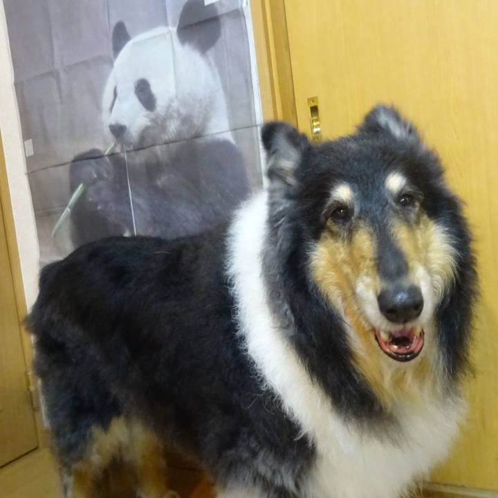 4dc660b5 837a 44b5 bfcd d442b6da84b7 1588685526579