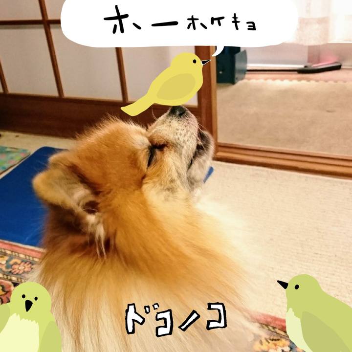 4dc673bd 4934 4813 abe3 229fc472bec1 1711081864460