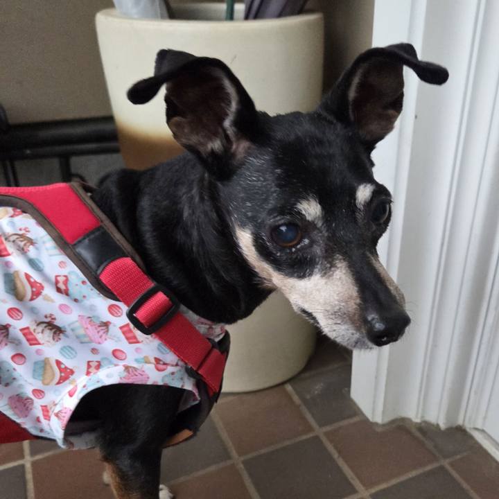 4dc69209 73e4 43e2 b103 0fd9b1113397 1752179390578