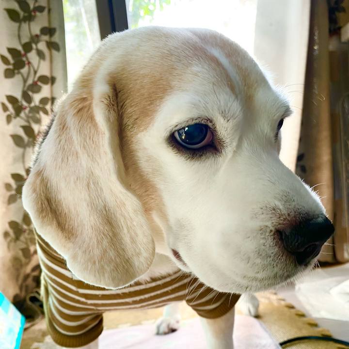 4dc69c35 02f0 466f 9c93 35706dcd1fe3 1638252522465