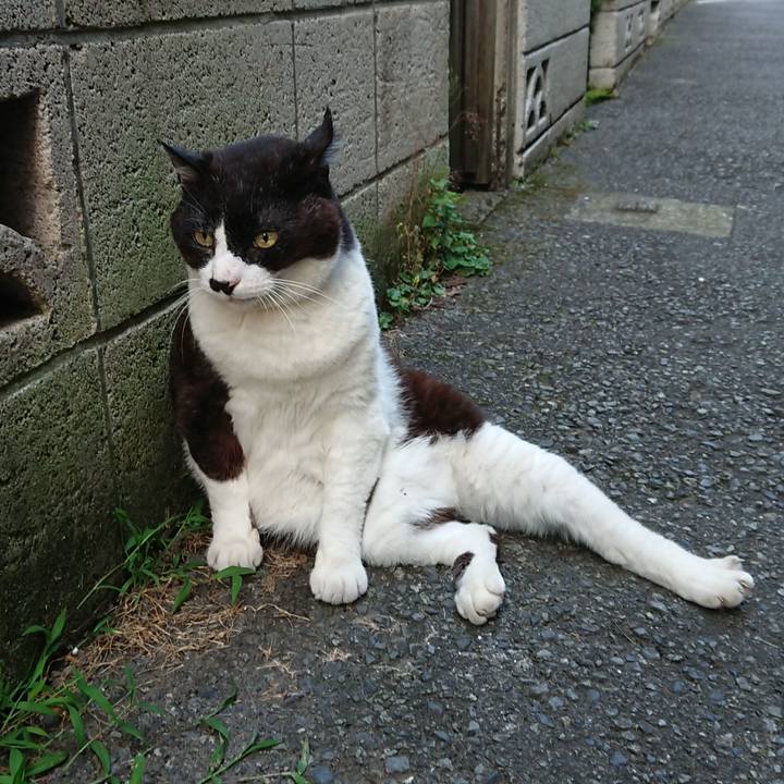 4dc6b851 0d6e 4364 b5e5 c3b6127eb3c7 1687682128311