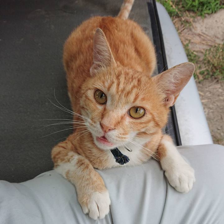 4dc6c1f2 0ab8 4e98 8680 56f6f6fc6dae 1562059234877