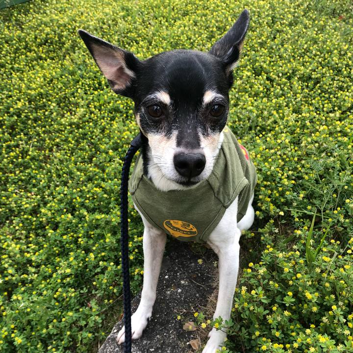 4dc6d07d d61f 4248 b91e 7ec97a44f595 1523672222117