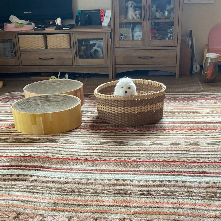 4dc6d619 d02e 4a9d 972e 5ce93ffb7176 1637029881259