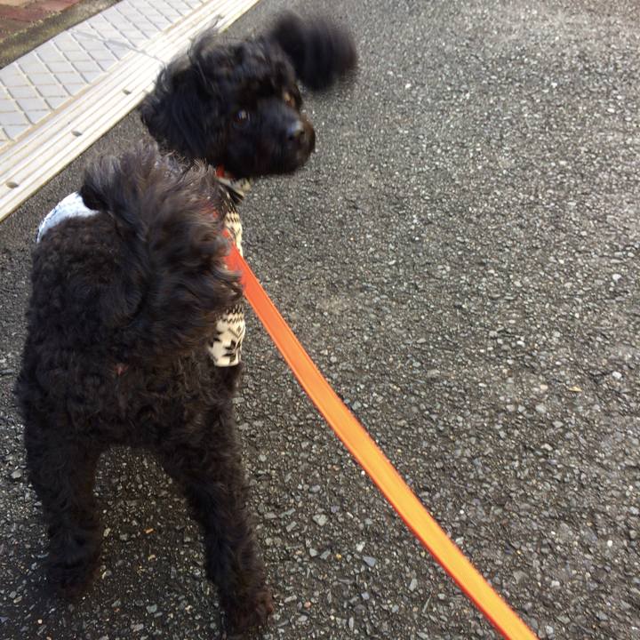 4dc6fbcf c922 4b3d 805d 0812d916d2d2 1511421935527