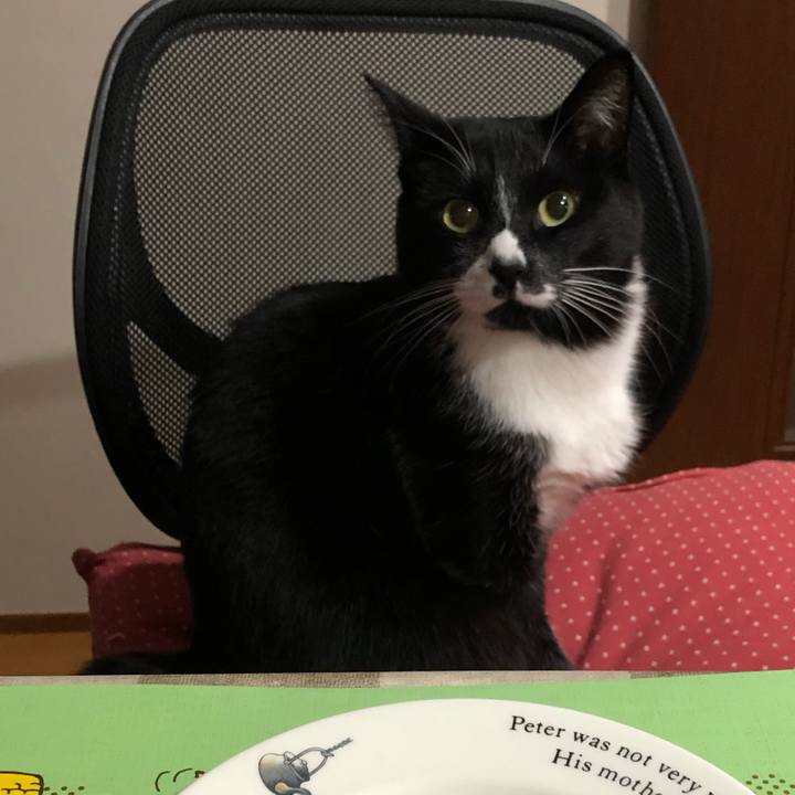 4dc70dcc cd66 41e4 b784 7aff19da958f 1604547788856