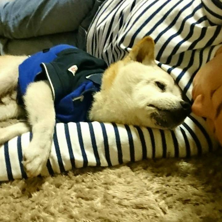 4dc7362d 6598 4194 9056 49095aebfa6f 1570939108556