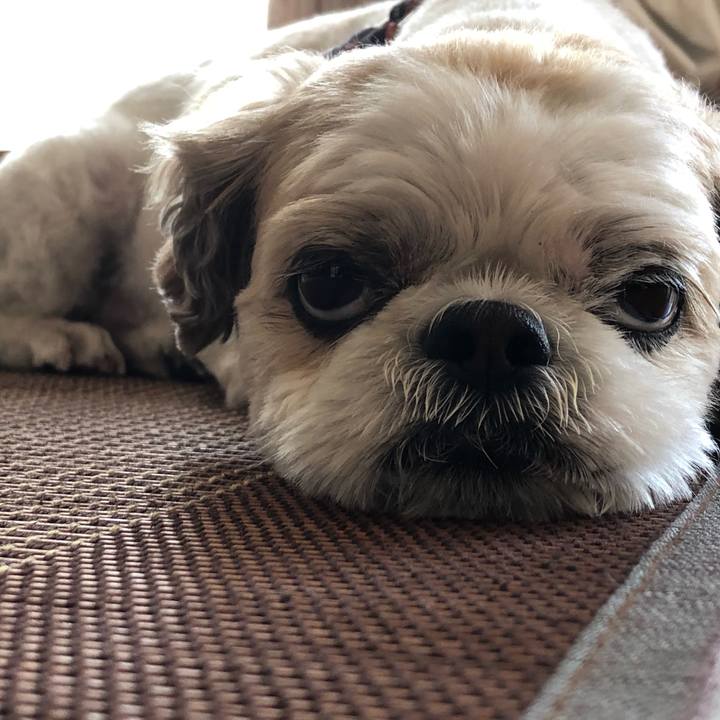 4dc74a57 0192 422e 8f3f b921032dd077 1592616597944