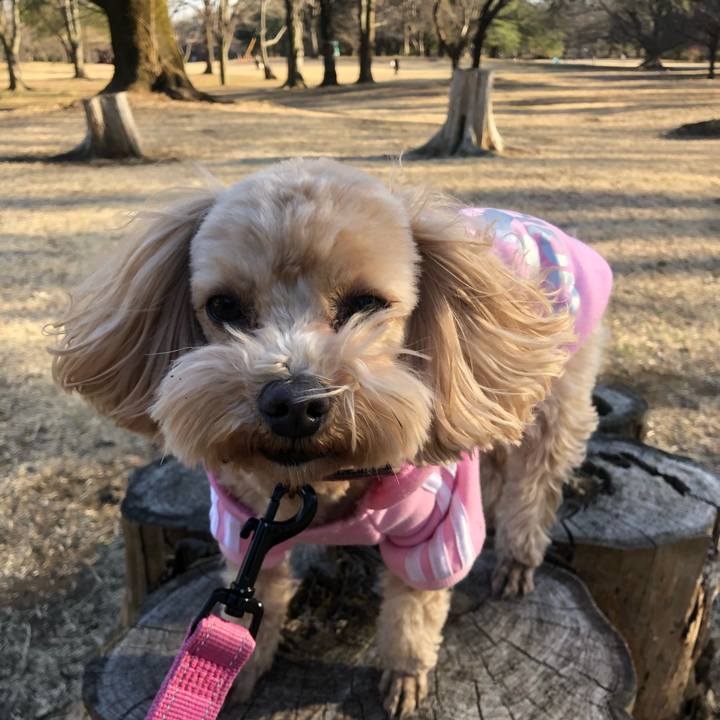 4dc7b5dc eb6c 48eb 9e75 5e68d47fe2fd 1645966969264