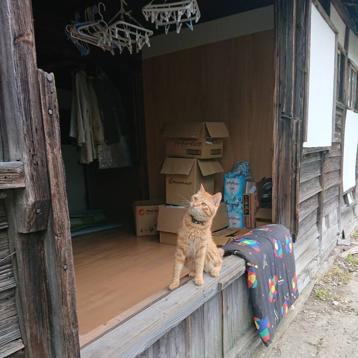 4dc7ddeb e3d2 4203 96bf 44bf45ec5d4b 1662171922111