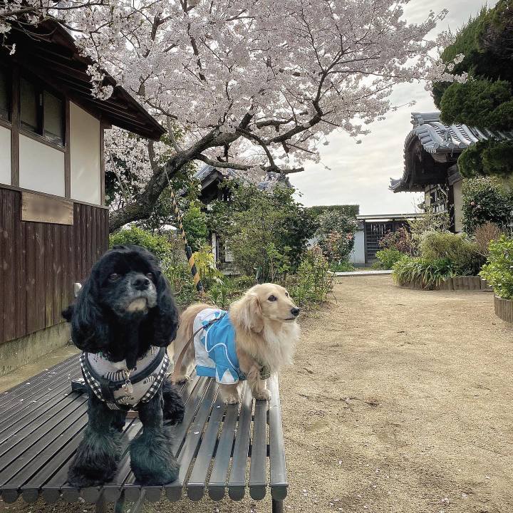 4dc7f0bb 92f1 43c9 869a 01a031aed8d2 1648969139975