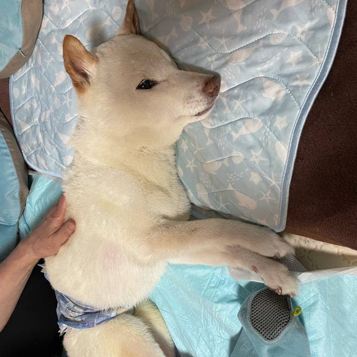 4dc81bea 07d5 4ced 8170 850263cbcabe 1662540380727