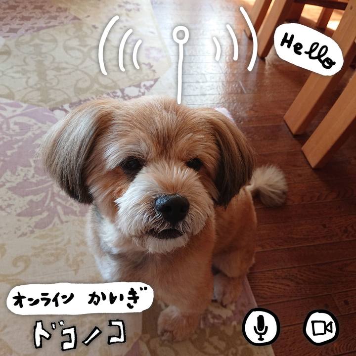 4dc84fae 41b7 4bd4 a59f 5382c87aafe3 1590705757470