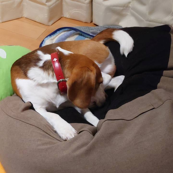 4dc84fc5 0ee0 4dbc bf1a a41a7362353e 1670851328676