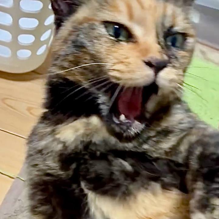 4dc8d255 b0f2 4a08 8c9a e113918829cb 1751924314396